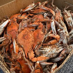 Susan's Seafood