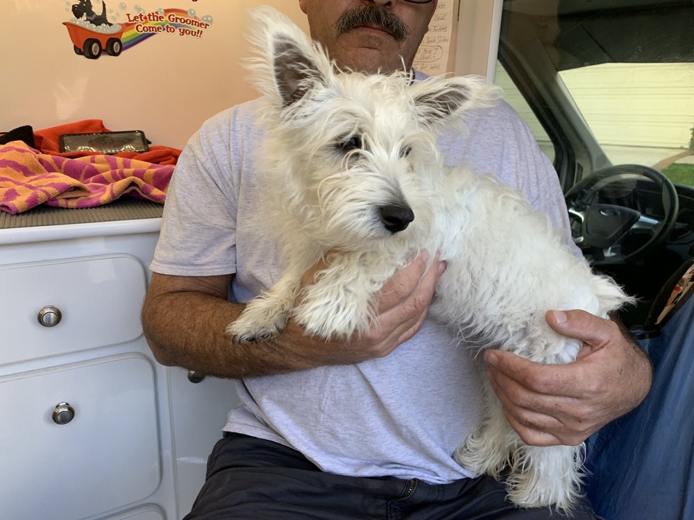 ZIP A DEE DOO DOGS MOBILE DOG GROOMING 104 Photos & 58 Reviews San