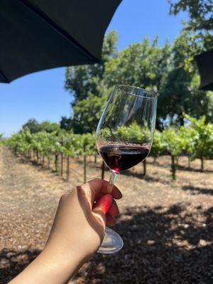 Saddleback Cellars by null