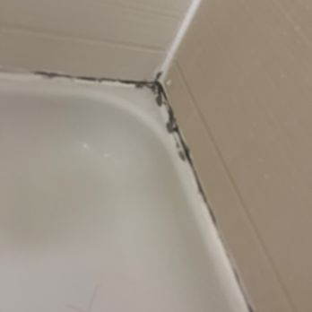 Hampton Inn & Suites Cleburne - Shower - Hotels Near Me - Cleburne, Texas