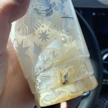Starbucks - Fly - Coffee & Tea Near Me - Hesperia, California Starbucks - Fly - Coffee & Tea Near Me - Hesperia, California