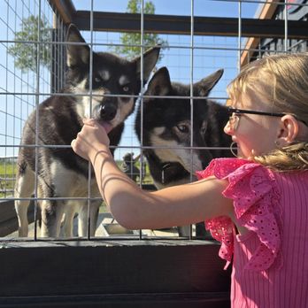 Trailside Cafe - Got to meet 2 sister retired sled dogs,  cashew and peanut! Sweet girls! - Coffee & Tea Near Me - Willow, Alaska