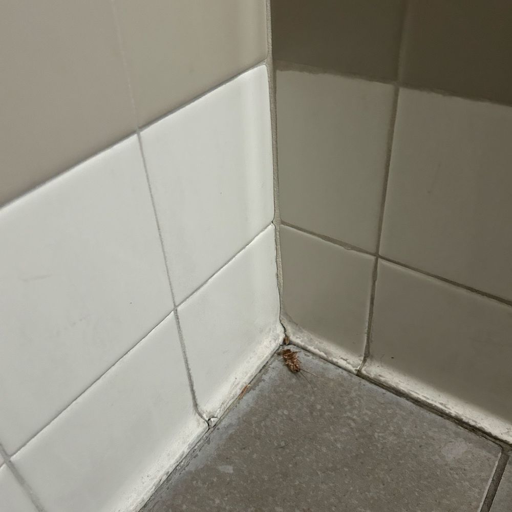 Fitness 19 - Showers at the gym - Gyms Near Me - West Covina, California Fitness 19 - Showers at the gym - Gyms Near Me - West Covina, California