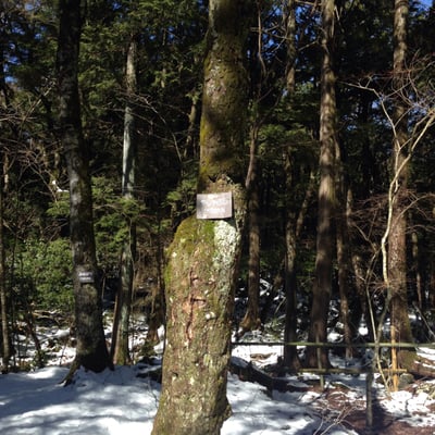 Fugaku Wind Cave by null