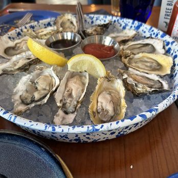 Free Bird - This is what we came here for. A dozen oysters for $18! - Bars Near Me - Richmond, British Columbia