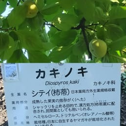 東京都薬用植物園 Botanical Gardens 中島町21 1 小平市 東京都 Japan Phone Number Yelp