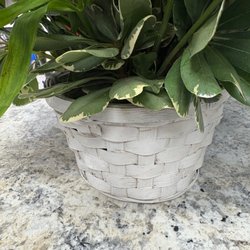Baack's The Florist