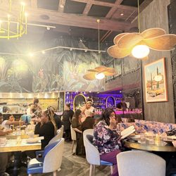 Pink Tiger - Seating