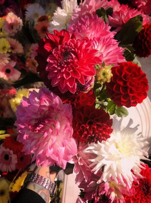 Santa Clara Farmers Market by null
