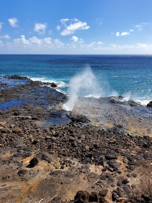 Spouting Horn by null