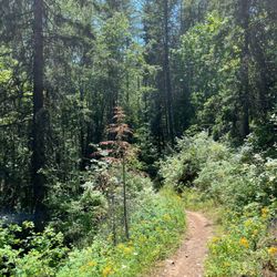 Gold Hill Trailhead