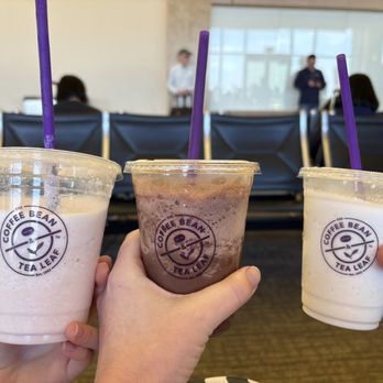 The Coffee Bean & Tea Leaf - Strawberry coffee-less, dark chocolate with coffee, pure vanilla - Coffee & Tea Near Me - Santa Ana, California