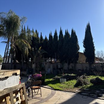 Santos Landscaping Services - Antes - Tree Services Near Me