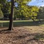 Photo of Ivey Arboretum at Sally Fox Park