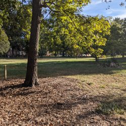 Ivey Arboretum at Sally Fox Park
