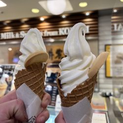 新品  ice cream アイスクリーム　2つ 4/18(土)オープン！「マウント デザート アイランド アイスクリーム