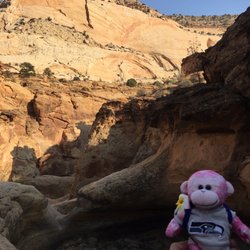 Capitol Gorge - GMonkey do: Tanks Trail Oct 2020