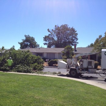 Green Thumb Tree Care - Tree Services Near Me - Vacaville, California Green Thumb Tree Care - Tree Services Near Me - Vacaville, California