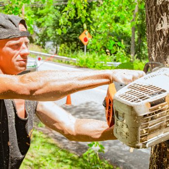Zip's Tree Service - Tree Services Near Me Zip's Tree Service - Tree Services Near Me