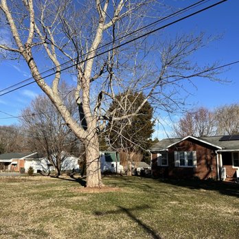 H&H Tree Care - Tree Services Near Me H&H Tree Care - Tree Services Near Me