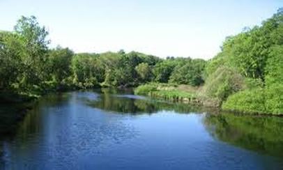 Dana Group Associates | Behavioral Health Care - grief counselor in Needham, MA