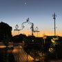 Photo of Lifestyle Landscape Design