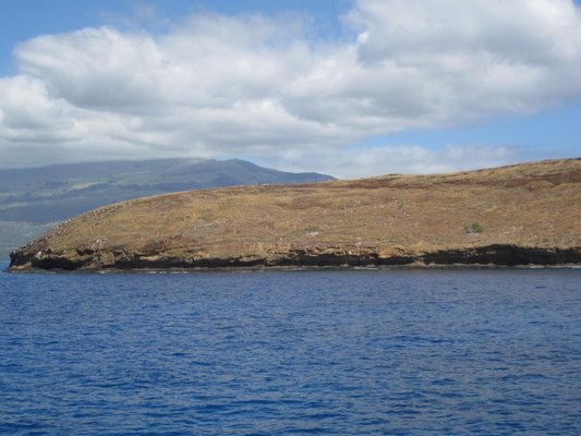 Molokini Crater by null