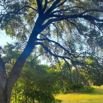 Misty Oaks - Apartments Near Me - Orlando, Florida