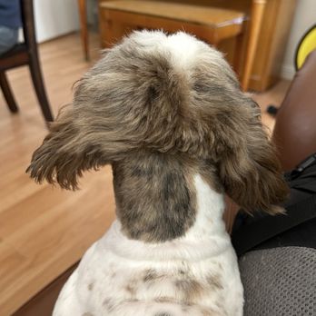 Petco - Horrible "Grooming" - Pet Stores Near Me - Riverside, California
