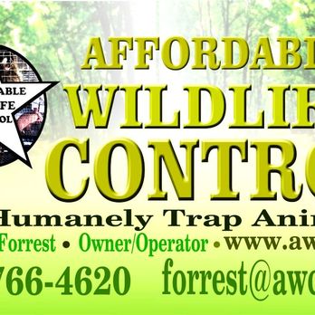 Affordable Wildlife Control - Pest Control Near Me - Vero Beach, Florida Affordable Wildlife Control - Pest Control Near Me - Vero Beach, Florida