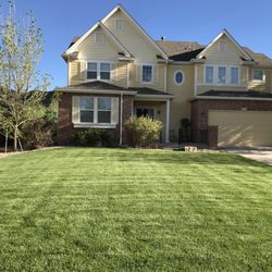Green Earth Aeration - Weekly lawn care, A picture from one of my customers in Golden
