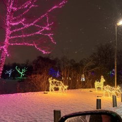 Winter Festival of Lights