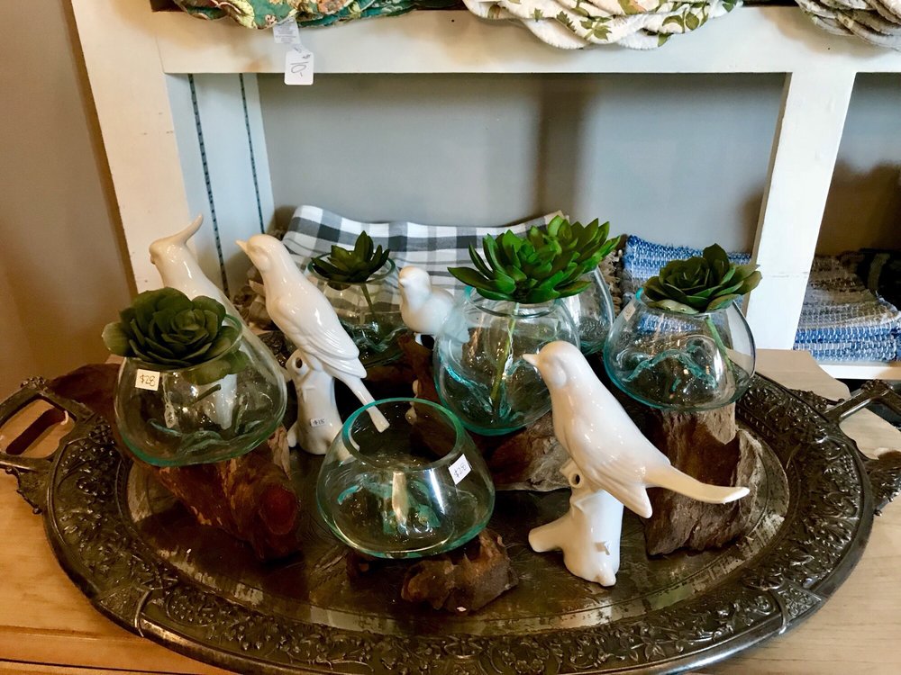 Decorative Terrariums Yelp