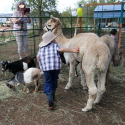 Medium petting zoo