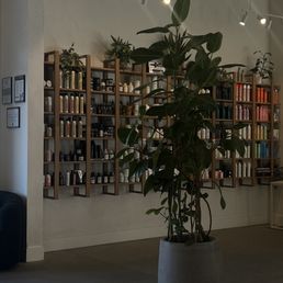 Salon Salon