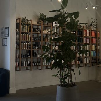 Hair Jungle - Salon - Hair Stylists Near Me - Lake Forest, California Hair Jungle - Salon - Hair Stylists Near Me - Lake Forest, California