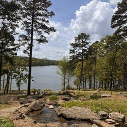 Garvan Woodland Gardens - Scenary
