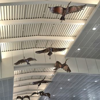 Airside A - TPA - Wow, I haven't seen Roy Butler's Copper Birds since they moved them to Airside A in 2018. - Airport Terminals Near Me - Tampa, Florida Airside A - TPA - Wow, I haven't seen Roy Butler's Copper Birds since they moved them to Airside A in 2018. - Airport Terminals Near Me - Tampa, Florida