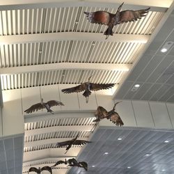 Airside A - TPA - Wow, I haven't seen Roy Butler's Copper Birds since they moved them to Airside A in 2018.