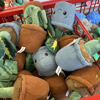 Ollie's Bargain Outlet - Discount Store Near Me - Tampa, Florida