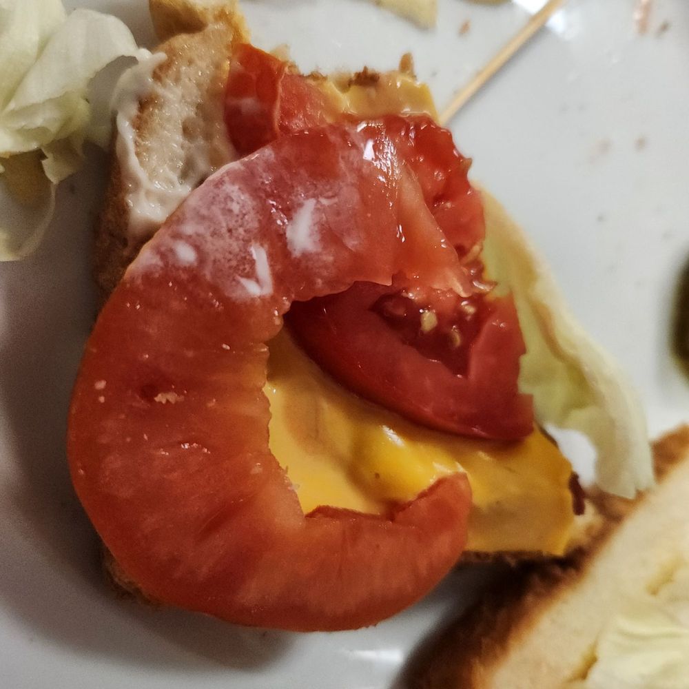 Mom's Kitchen - This tomato should never make it on a small sandwhich - Mexican Near Me - Okeechobee, Florida Mom's Kitchen - This tomato should never make it on a small sandwhich - Mexican Near Me - Okeechobee, Florida