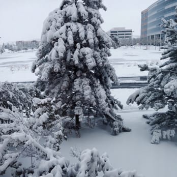 Denver Marriott South at Park Meadows - View from my window! - Hotels Near Me - Lone Tree, Colorado Denver Marriott South at Park Meadows - View from my window! - Hotels Near Me - Lone Tree, Colorado