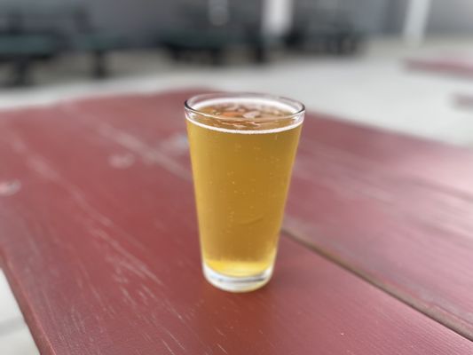 Southern Pacific Brewing by null