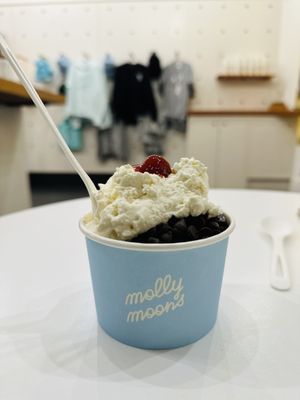 Molly Moon's Homemade Ice Cream Columbia City by null