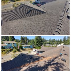 Extraordinary Exteriors - Pine needles be gone!