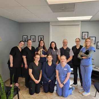 Hollymead Veterinary Hospital - Veterinarians Near Me - Charlottesville, Virginia Hollymead Veterinary Hospital - Veterinarians Near Me - Charlottesville, Virginia
