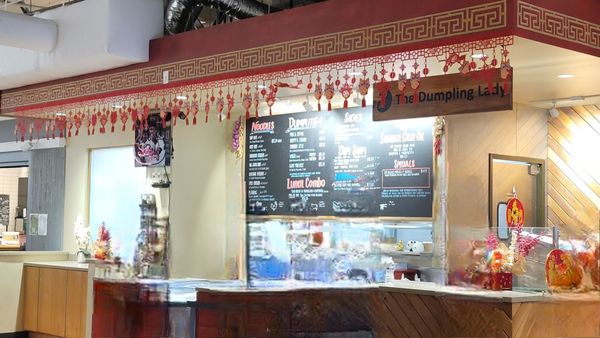 The Dumpling Lady by null