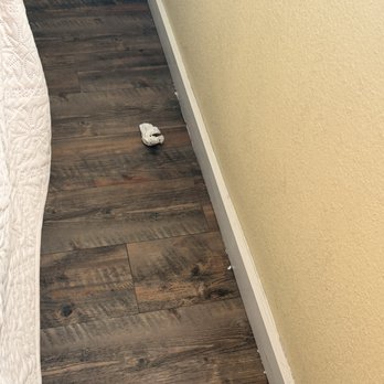 Seashell Village Resort - Used tissues on floor - Resorts Near Me - Port Aransas, Texas Seashell Village Resort - Used tissues on floor - Resorts Near Me - Port Aransas, Texas
