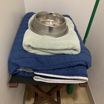 Moonstone Beach Motel - Doggy welcome amenities - Hotels Near Me - Moclips, Washington Moonstone Beach Motel - Doggy welcome amenities - Hotels Near Me - Moclips, Washington
