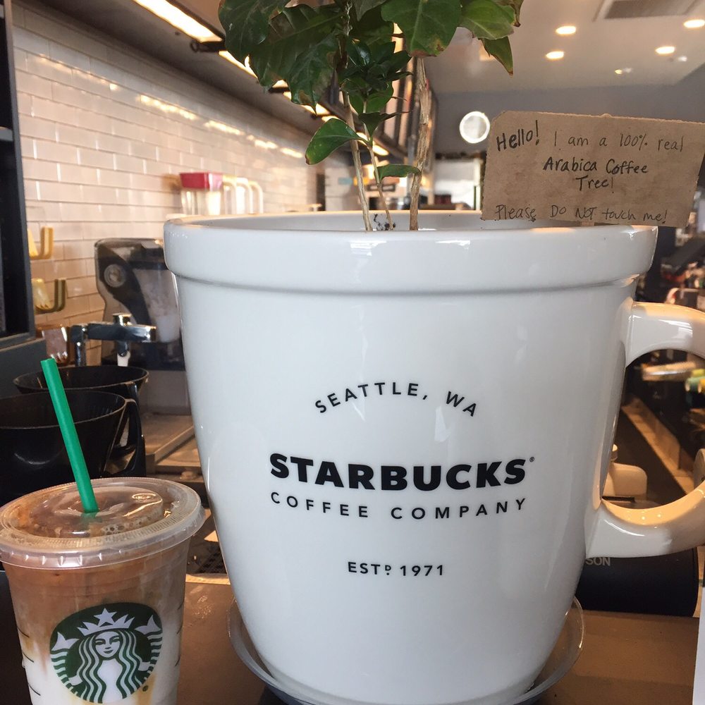 Starbucks - Coffee & Tea Near Me - Orange, California
